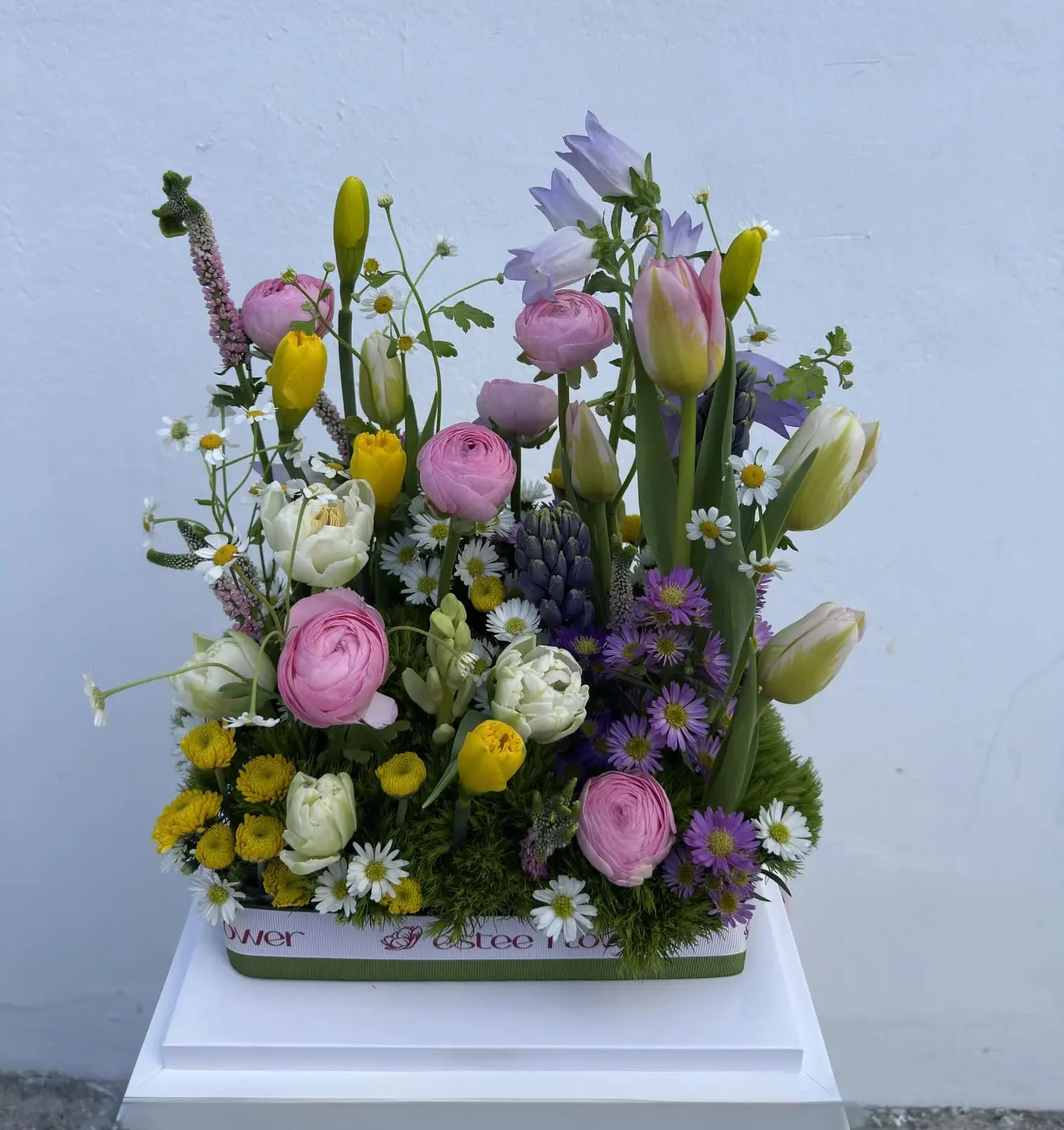Spring field arrangement