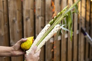 Flowers for Sukkot: The complete Miami guide for 2026 2 Lulav