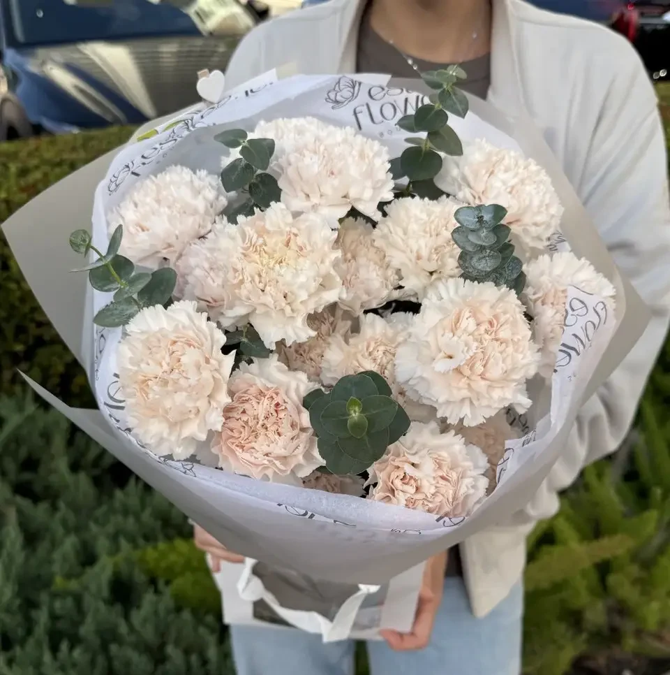 Carnation bouquet with eucalyptus and fresh carnations