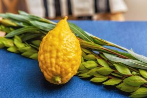 Flowers for Sukkot: The complete Miami guide for 2026 1 etrog sukkot