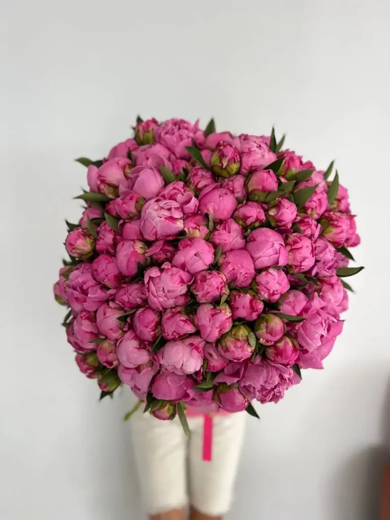 Peonies Flowers Miami