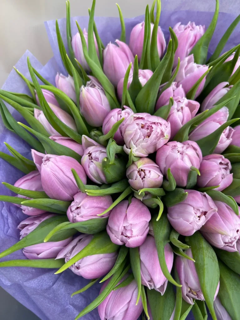 Mothers day flower delivery Miami 7 lavender tulips Miami