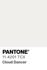 Modern Floristry in Miami: How EsteeFlower Designs Airy, Elegant, and Thoughtful Floral Arrangements 4 Pantone named PANTONE 11-4201 Cloud Dancer