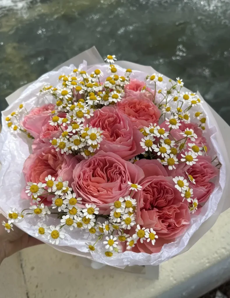 Pink Xpression with Chamomiles